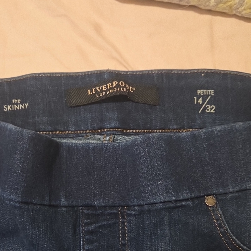 Liverpool Blue Skinny Jeans Classic Style